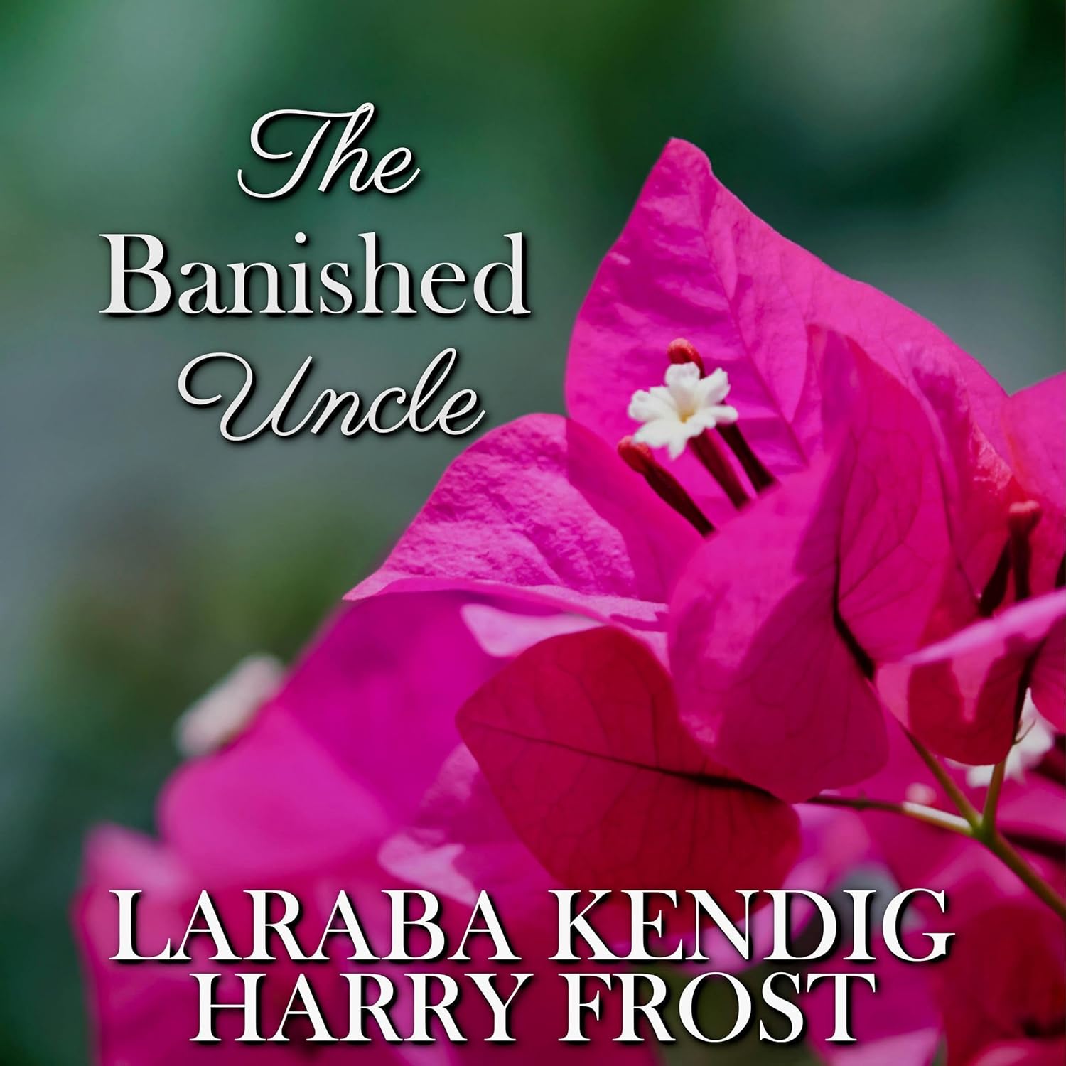 Elizabeth Bennet's uncle audiobook romance novel featuring Darcy